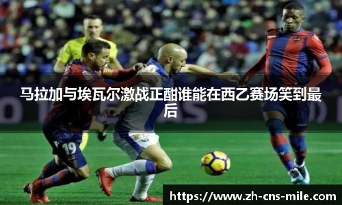 米乐m6首页